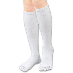 Si|Cg5{ 11/4 20:00-11/5 23:59{5{wRbgnC\bNX\bNX ×p  ȍ ނ \bNX C   e XgbLO  i[X Ōt m 