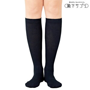 [CTv]܂Čs𑣂\bNX\bNX C  fB[Y JWA KŌ K i[X Ōt ۈm m At@~G