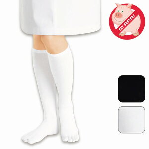 5{wRbgnC\bNX\bNX ×p ނ \bNX C e XgbLO  i[X Ōt m At@~G