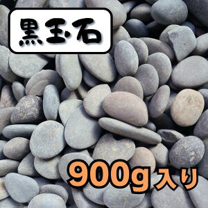 y8ԌISi15OFFN[|zʐ 900g  CeA  rO u  GNXeA VR 킢  K[fjO A}  F   K[fj