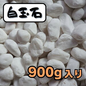 yɔN[|zzIzʐ p[zCg 900g  CeA  rO u  GNXeA VR 킢  K[fjO A}  F 