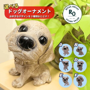 yyVC[OXӍՑSiP5{IzyȃN[|zzIIz hbOI[ig 3Zbg  u v[g  G CeA K[fjO  W  t 