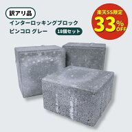 【楽天SS限定 2,250円→1,500円】【最大1,000円OFFクーポン配布中！】【数量限定】【在庫限り】インター…