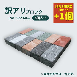 y12/1IAC^[8ɂ+1IzyȃN[|zzIIz yAz yiz  ubN u y 8 zF_ ܑ C^[bLOu