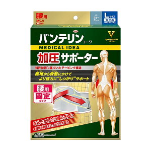 ���a �o���e�����R�[�� �T�|�[�^�[ ���p ������������^�C�v 24641 �u���[�O���[ L (���� 80�`100cm)