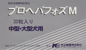 y󂠂z vwptHX ̑ }`J[  30 ܖ2027.03 4992945114934