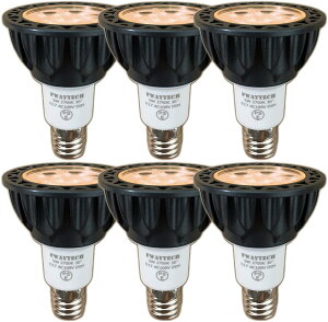 �y�󂠂�zLED�X�|�b�g���C�g E17 ���� 5W �n���Q���d��40W�`50W���� ���p30�x �_�N�g���[��LED�X�|�b�g���C�g �����Ή� (2700K�d���F����, E17���� ���� (�{�̍�) 6��) X000VVF201