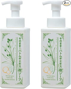 y󂠂ẑ܂! ngMGLXzA\[v 500ml ×2Zbg