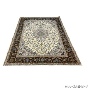 �􂦂�!�S�u�����D�V�F�j�[�����O �}���L�B 200×250cm BR�E�u���E�� 5566