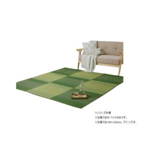 �J�[�y�b�g �������O �_�C�� 190×250cm �O���[�� 1070811124211