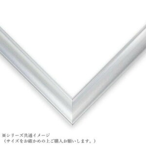 �r�o���[ �W�O�\�[�p�Y���p�t���[�� �A���~ 10-T �V���o�[ FF107-S