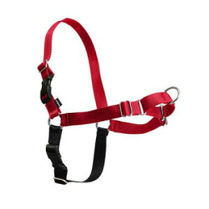 PetSafe Japan �y�b�g�Z�[�t �C�[�W�[�E�H�[�N�n�[�l�X L ���b�h×�u���b�N EWH-HC-L-RED