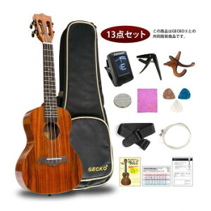 GECKO(�Q�b�R�[)×�A�[�o���ʏ� �E�N����(�[����13�_�Z�b�g) 23�C���` �R���T�[�g GU9 KOA