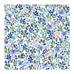 UB[i~j}bNX Anna Emilia Kl@ 1 AE-2