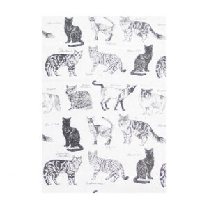 �����s�L�[�X�g�[�� �}���`�J�o�[ MONO ��W150×L225cm �L���b�g MUCOMOCA
