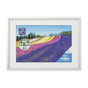 ʐ^z lIX A4/W6 Vo[ 33C091D3000