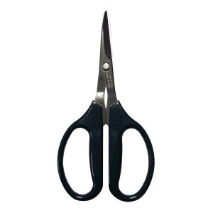  mق͂ NtgnT~ 160mm 893