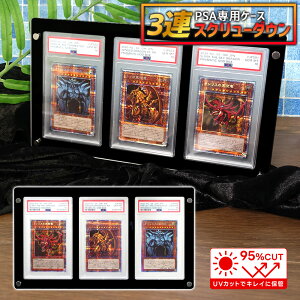 y3A^Cvz XN[_E PSA }Olbg[_[ 3A UVJbg VY |PJ Ӓ [_[ ӏ ۊ [P[X gJ fBXvC  NA 3p W fBXvCP[X 