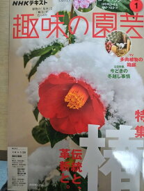 【中古】NHKテキスト趣味の園芸 2026年 1月号 [雑誌]【午前9時までのご注文で即日弊社より発送！日曜は店休日】