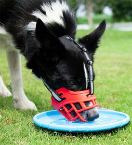 p}Y  p}Y ̌  ʖih~ ^ ^ ^ Ƌjh~ ݕȑ΍ rߖh~ ߉\ _炩 pPpi