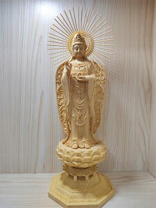 O ؒω Cωuؐ  J^ d F  肨Ȓu J^i43cmj (Cω)