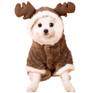  H~ p[X Ȃ ybg hbOEFA p[J[ t[ht NX}X giJCɕϐg h g  L    RX`[ ӂӂ ^ ^ 