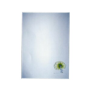 ���ʋ� �Ǌ|�� ������� W500 H700 LX02