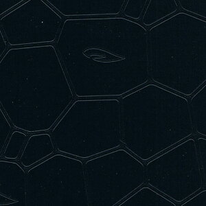 ACmbRV[gi1mPESV[gEA[gEfUCEj INK-1315008G