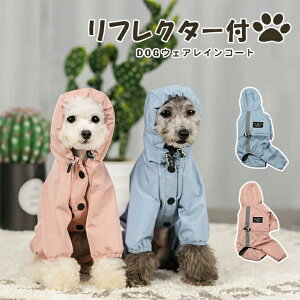 hbOEFA ybgObY ybg pi CR[gh CI[C