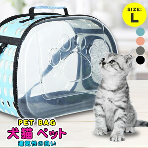 ybgL[obO g  킢 y t P[W L