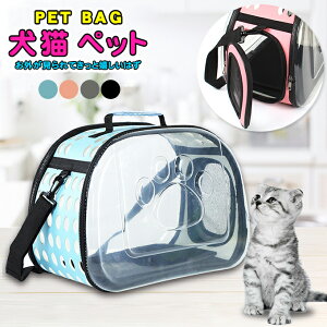 ybgL[obO g  킢 y t P[W L