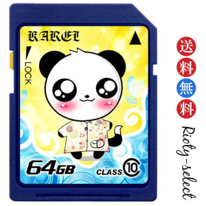 SDXCJ[h SDJ[h 64GB NX10 SDXC class10