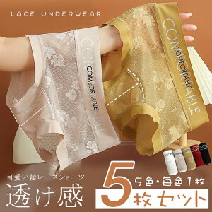 y5ZbgI1298~z [XV[c fB[X   pc p V[XV[c LkQ ʋC CoȂ H܂Ȃ ߕtȂ 炳K Xg