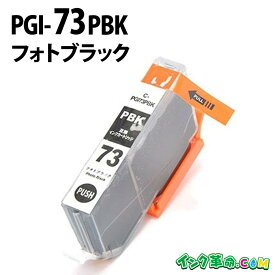 PGI-73PBK （フォトブラック） PGI-73 キヤノン[Canon] PIXUS-PRO-10 PIXUS-PRO-10S カートリッジ互換 インク ICチップ 互換インク【インク革命】