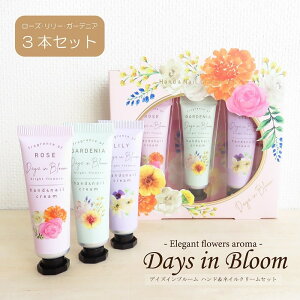 Mtg nhPA fCYCu[ nhlCN[Zbg 3{Zbg ێz ^ ~jTCY A} tOX 蕨 ̓