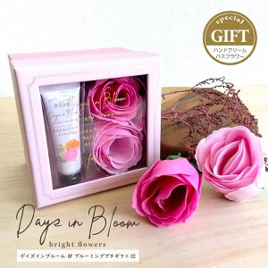 oXpi fCYCu[ BF u[~Ov`Mtg CE oXt[&nhN[ MtgZbg  nhPA oXy^ Ԃт畗C AC 蕨 ̓ hV̓ a A