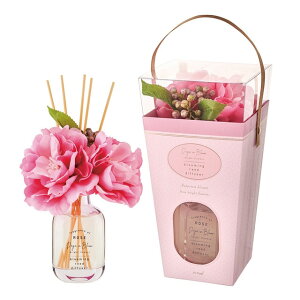 A} [hfBt[U[ fCYCu[ BF XeBbN 100ml FԖ2 F  a ̓ Mtg 蕨 CeA