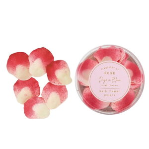 oXpi  fCYCu[ BF oXt[y^ 61Zbg fBXvC{bNX oXt[ Ԃт畗C AC A} tOX a hV̓ ̓ Mtg 