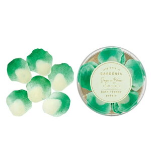 oXpi  fCYCu[ BF oXt[y^ 61Zbg fBXvC{bNX oXt[ Ԃт畗C AC A} tOX a hV̓ ̓ Mtg 