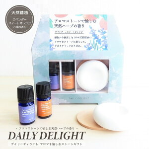 A} fC[fBCg A}ރXg[MtgZbg GbZVIC2{ (x_[ IW) A}Xg[t A}v[g  Mtg 蕨