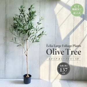 lHϗtA GNA I[uc[ S137cm ^ CTG}HL g F L R h  tFCNO[ CeAO[   ϗtA 蕨  C