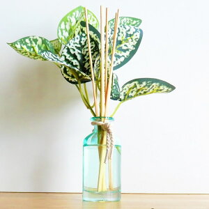 A}  {^jJR O[fBt[U[ tOX KXr ϗtA F