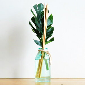 A}  {^jJR O[fBt[U[ tOX KXr ϗtA F