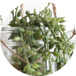 ϗtA  ݉ GNA nMO^Cv }Nt JtF KXr CTG}H L