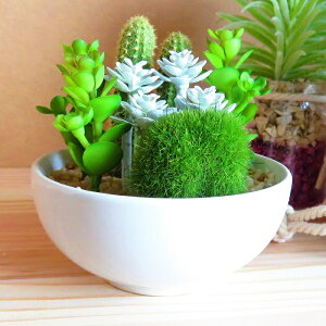 ϗtA  TLgtE {E^Cv CTG}H A CeA L