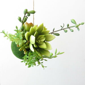 ϗtA  GNA nMO{[^Cv(S) nMO ݂艺 Ђ CTG}H tFCNO[ A L R h  CeA