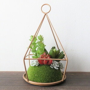 ϗtA  GNA p`eE^Cv CTG}H eE I[ig tFCNO[ A L R h  CeA