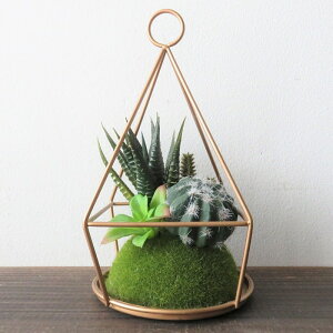 ϗtA  GNA p`eE^Cv CTG}H eE I[ig tFCNO[ A L R h  CeA