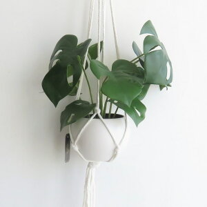 y݌Ɍz ϗtA  GNA O[i[Ct nMO^Cv }Nt CTG}H tFCNO[ L R h  CeA