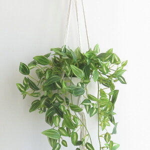 y݌Ɍz ϗtA  GNA O[i[Ct nMO^Cv }Nt CTG}H tFCNO[ L R h  CeA